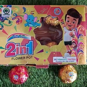 2 in 1
