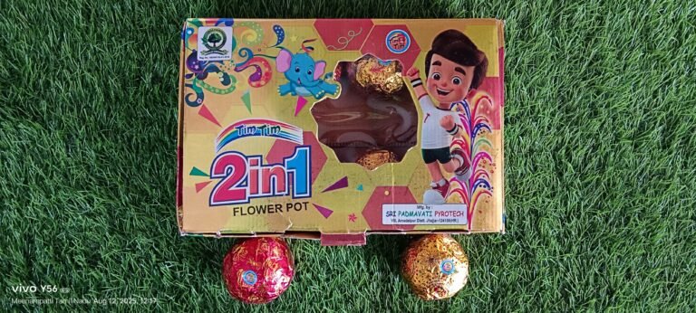 2 in 1